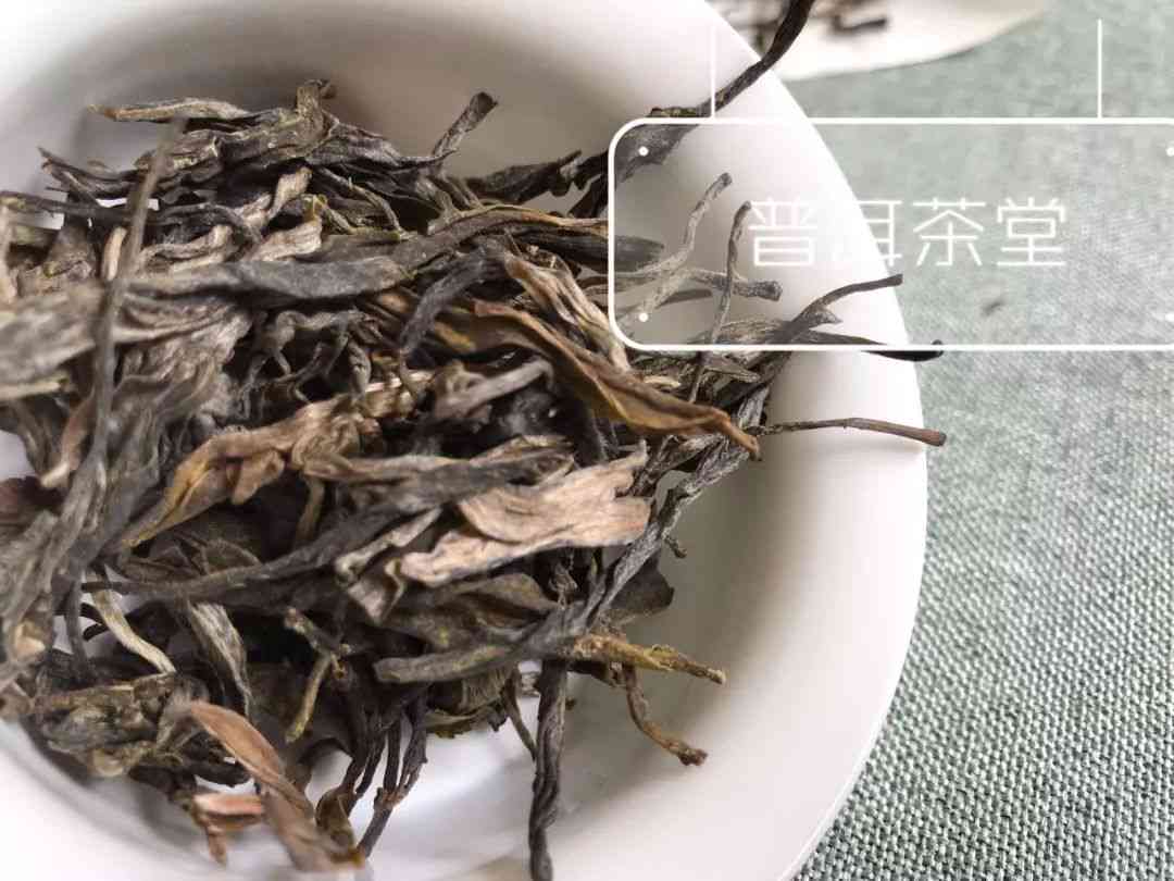 正宗普洱茶购买指南：哪里能买到真正的好茶？