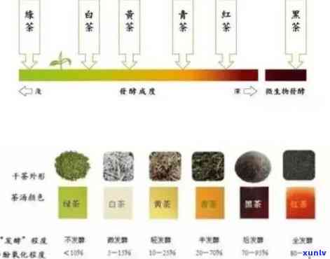 绿茶叶与普洱茶颜色的转变：深度解析制作过程与关键因素