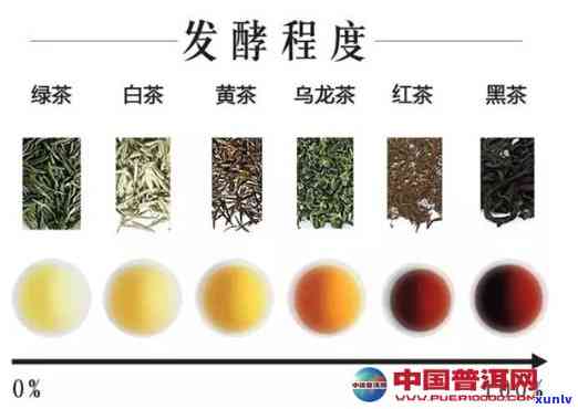 绿茶叶与普洱茶颜色的转变：深度解析制作过程与关键因素