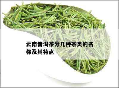 云南普洱茶及其它茶叶品种名称简介