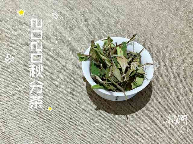 绿茶叶怎么做成普洱茶的