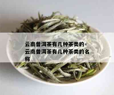 云南普洱茶还有什么茶名