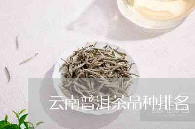 云南普洱茶还有什么茶名