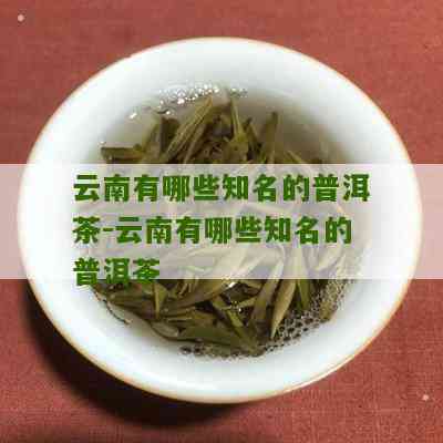 云南普洱茶还有什么茶名