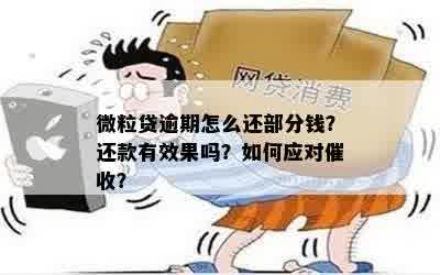 微粒贷逾期全攻略：如何应对、期还款及解决方法一文解析