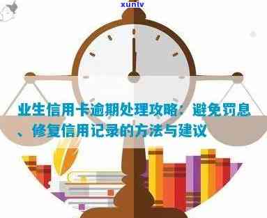 一站式解决方案：有效消除信用逾期，从根本上修复信用记录