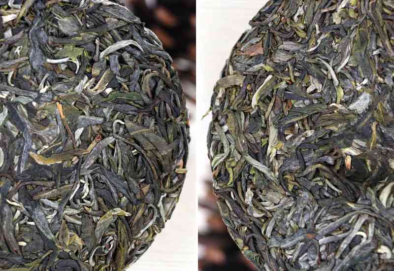 四大名茶与普洱茶：全面解析普洱茶的四大代表品种