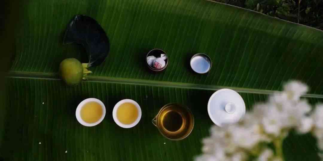 普洱茶工艺和绿茶的工艺一样吗：探讨两者制作工艺的区别