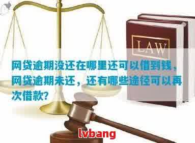 省呗逾期后，其他网贷平台是否还能借钱？如何确保顺利借款？