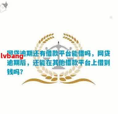 省呗逾期后，其他网贷平台是否还能借钱？如何确保顺利借款？