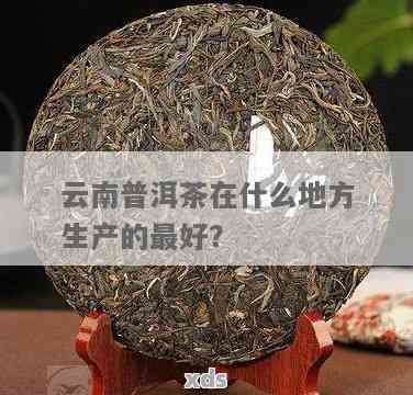 云南普洱茶口感佳的产地：哪里最令你醉？