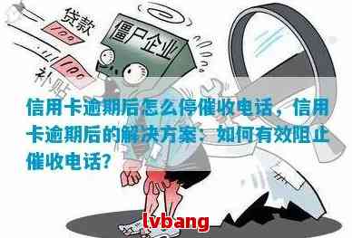 逾期款项已经偿还，为何仍收到信息？解答您可能遇到的所有问题