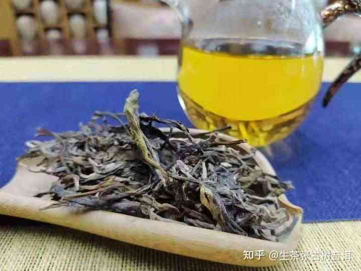 新手卖茶，绿茶和普洱茶哪一个更适合？