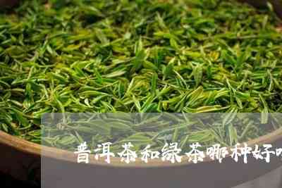 新手卖绿茶还是普洱茶好