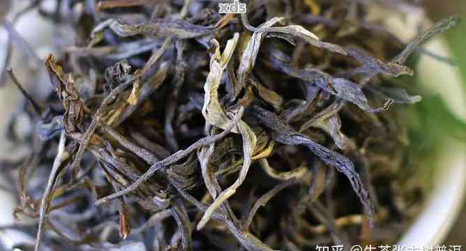 新手卖绿茶还是普洱茶好