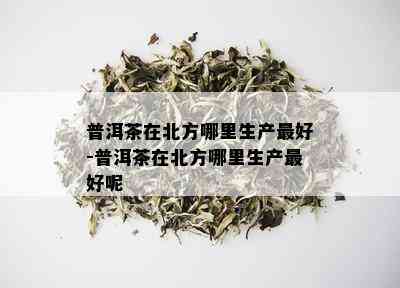 北方地区长期存普洱茶的深层次原因及其对茶叶品质的影响解析