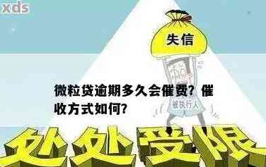 微粒贷逾期32天：可能的后果、应对策略及解决方案全面解析