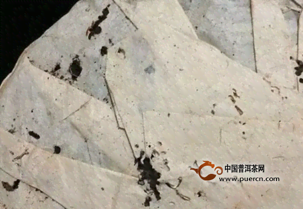 普洱茶存放有小虫怎么办