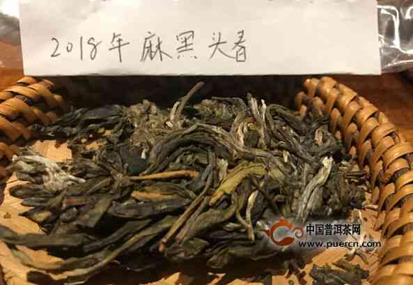 早春古树普洱茶价格：品种特色与市场行情全解析