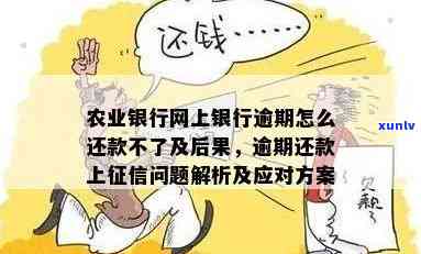 农业信用卡逾期还款问题解决指南：从3万多逾期到0,你必须知道的所有方法！