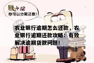 农业信用卡逾期还款问题解决指南：从3万多逾期到0,你必须知道的所有方法！