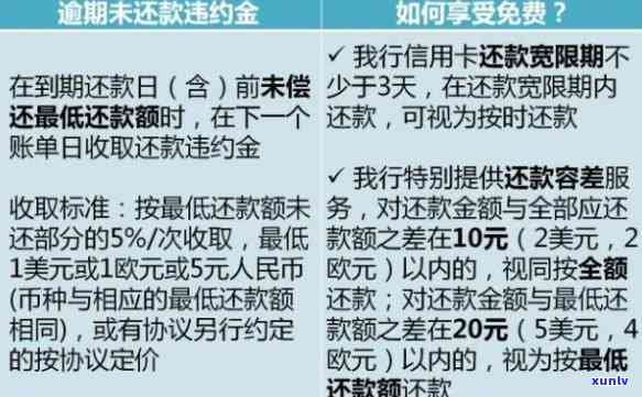 建设银行信用卡3号到期还款最晚时间是什么时候？如何避免逾期还款？