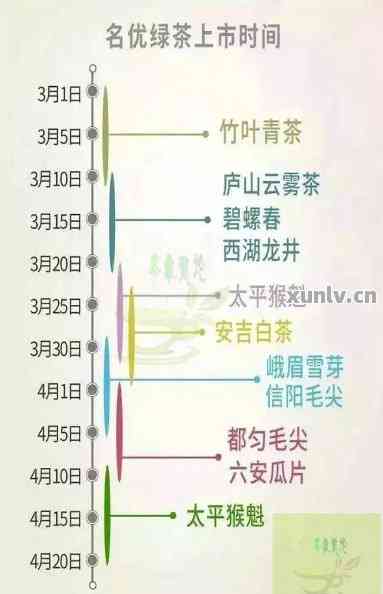 冷水河普洱茶春茶采摘时间表与节特征分析