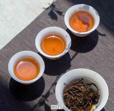 普洱茶和红茶可以一起泡吗？这两种茶叶的混合搭配是否可行？