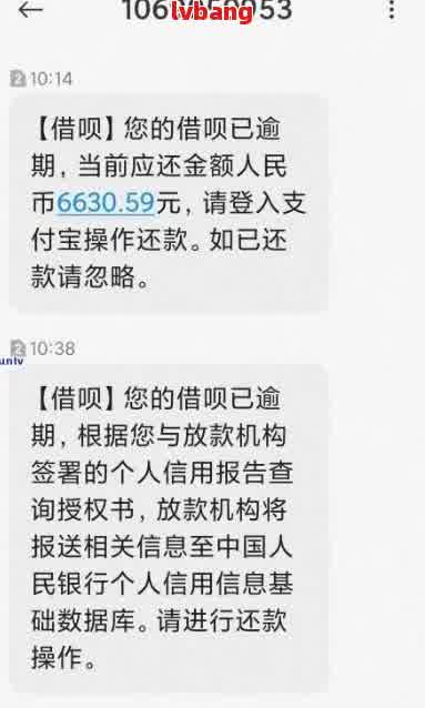 网贷逾期了省呗还能借吗