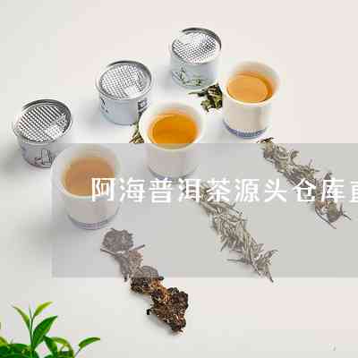 阿海的普洱茶叶是什么茶类及茶种