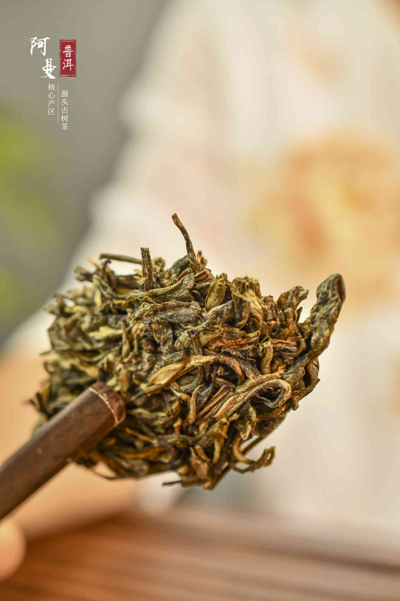 阿海的普洱茶叶是什么茶类及茶种