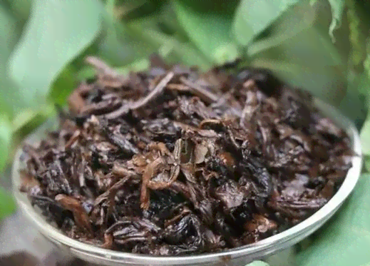 阿海的普洱茶叶是什么茶类及茶种