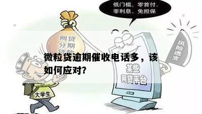 关于微粒贷逾期的电话策略分析