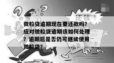 微粒贷逾期提前止还款：如何处理和再次借款问题