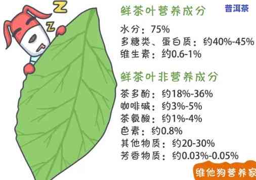 探究普洱茶中维生素成分：揭示其独特营养价值