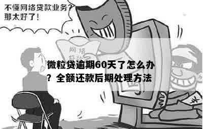 微粒借贷逾期60天全额还款处理方式及后续风险