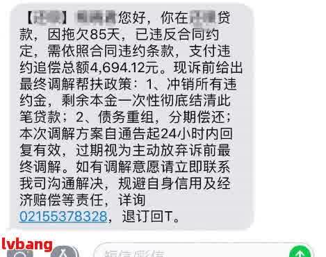 五个月后仍未偿还的网贷逾期问题解决之道