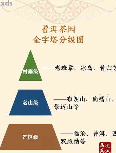 普洱茶各类型口感差异解析：从发酵程度、产地、工艺等方面一网打尽！