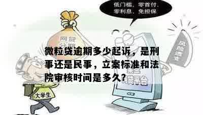 微粒贷逾期起诉：时间、房产关联性、起诉率与立案标准分析及刑事判决可能性