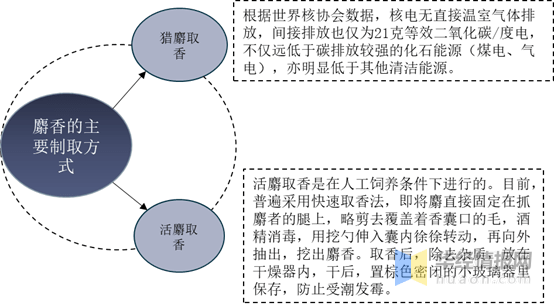 普洱茶：起源、发展历程及其对健的影响全面解析