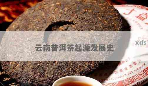 普洱茶的起源与发展：从古至今的兴历程