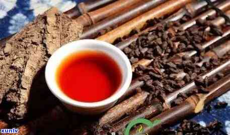 普洱茶的起源与发展：从古至今的兴历程