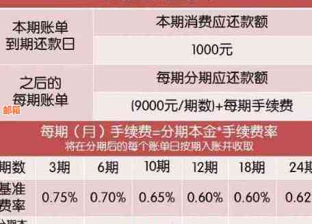 探索信用卡分期付款：如何申请免息还本的高效策略