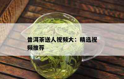 新探索普洱茶袋装选择：哪种与包装能让普洱茶更美味？