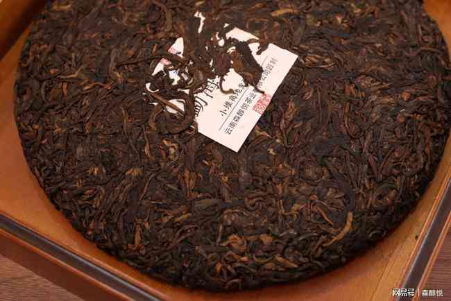 普洱茶的品种和特点一览：掌握普洱茶特色，了解各种品种特征。