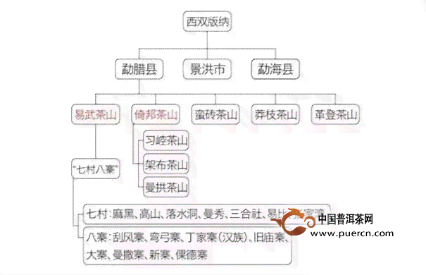 普洱茶产区与等级的综合解析：从三级到十级，每一种品质的独特表现