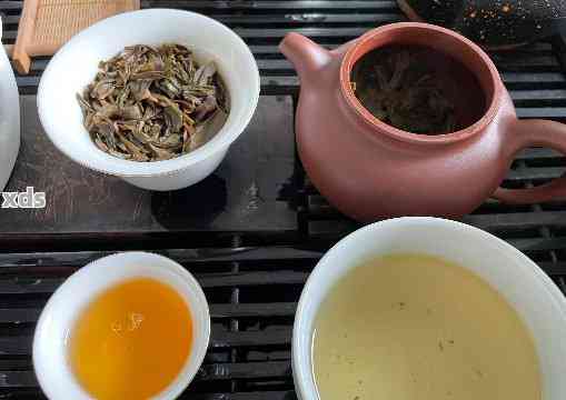 普洱茶冲泡度及南方天气下如何保存普洱茶，让品质更佳的冲泡体验