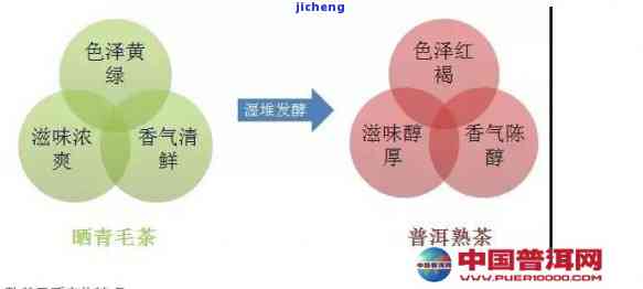 探究普洱茶的香味变化：从几年到时间的因素分析