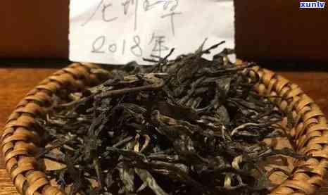 班章古茶林春茶普洱茶：勐海云南排行中的老班章精选茶叶