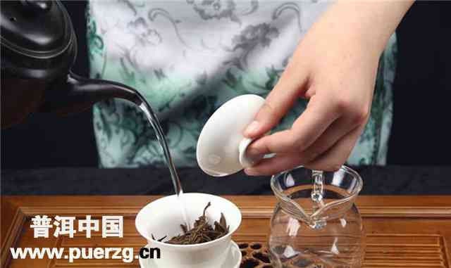 泡普洱茶为什么要大碗